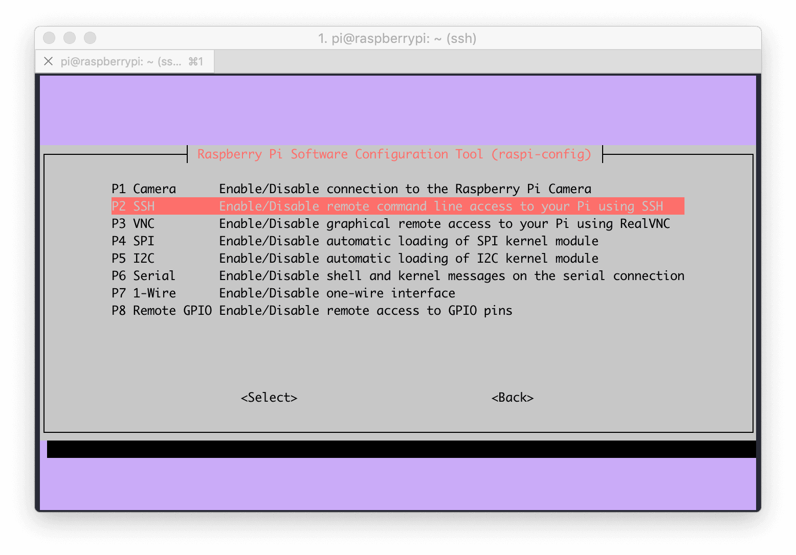From this menu select P2 SSH